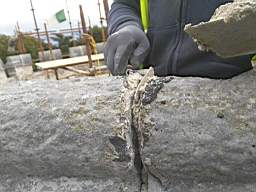 acastle 156100.jpg